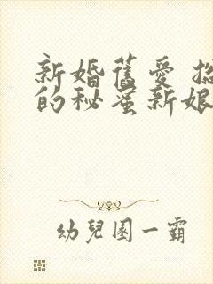 新婚旧爱 总裁的秘蜜新娘