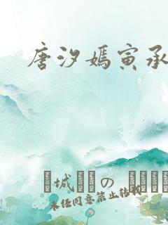 唐汐嫣寅承小说
