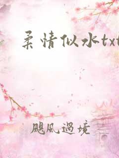 柔情似水txt
