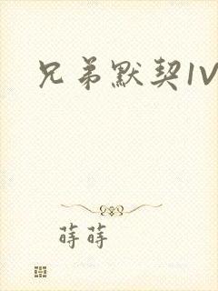 兄弟默契1V3