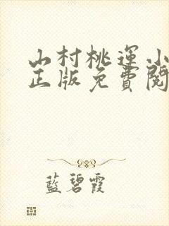 山村桃运小傻医正版免费阅读
