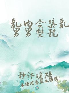 乱肉合集乱高h男男双龙