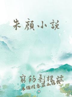 朱颜小说