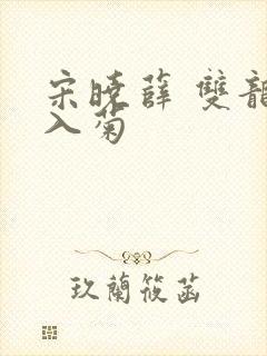 宋晓薛 双龙齐入菊