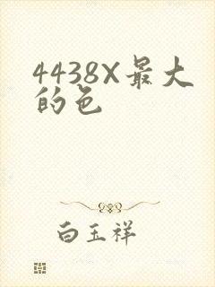 4438X最大的色