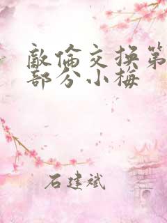 敌伦交换第11部分小梅