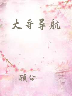 大哥导航