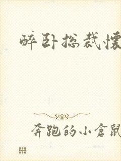 醉卧总裁怀