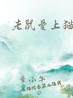 老鼠爱上猫下载