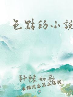 色点的小说