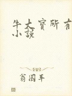 牛大宝所有有声小说