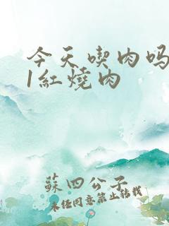 今天吃肉吗1V1红烧肉