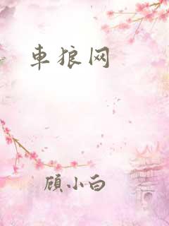 车狼网