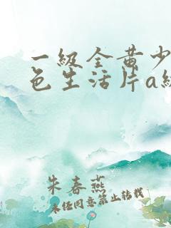 一级全黄少妇性色生活片a级