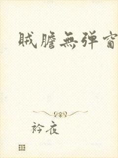 贼胆无弹窗