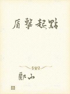 盾击起点