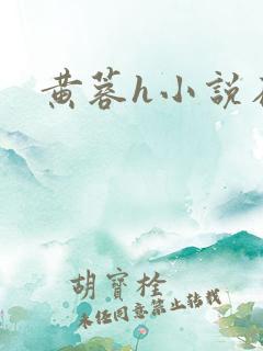 黄蓉h小说在线