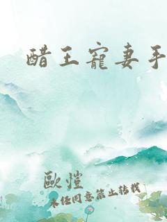 醋王宠妻手札