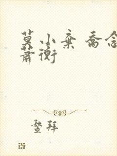 莫小弃 乔念,萧衡