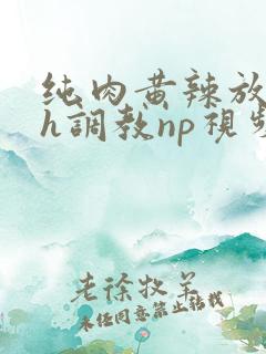 纯肉黄辣放荡高h调教np视频