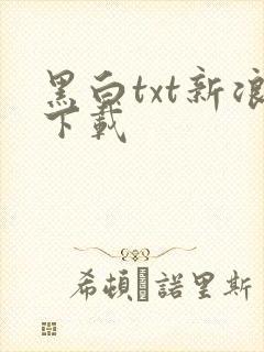 黑白txt新浪下载