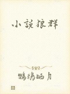 小说狼群