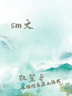 sm文