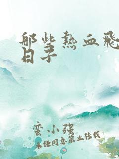 那些热血飞扬的日子