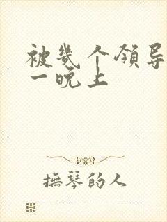 被几个领导玩弄一晚上