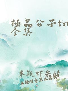极品公子txt全集