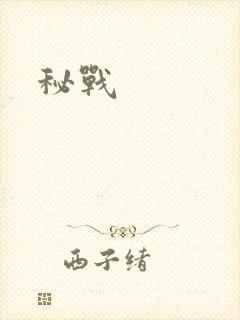 秘战