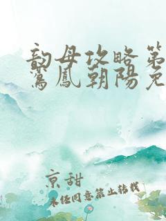 韵母攻略第二部鸾凤朝阳免费阅读