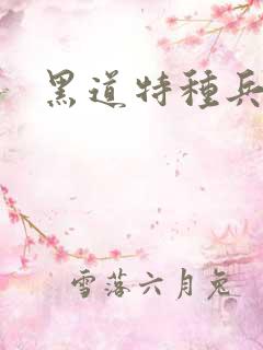 黑道特种兵2