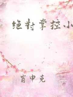 绝对掌控小说
