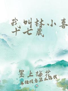 我叫林小喜今年十七岁