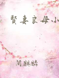 贤妻良母小说