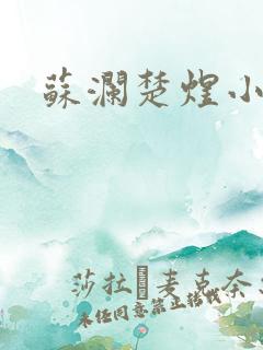 苏澜楚煜小说