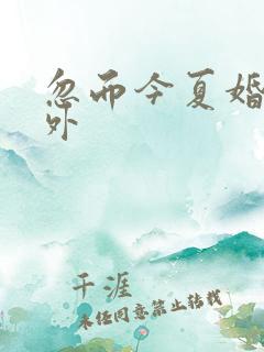 忽而今夏婚后番外