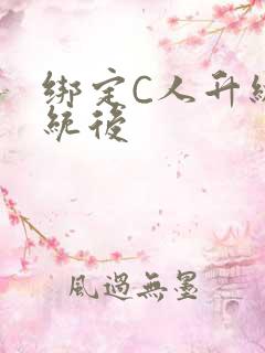 绑定C人升级系统后