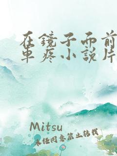 在镜子面前做开车疼小说片段