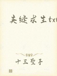 夹缝求生txt