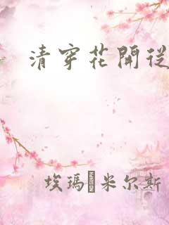 清穿花开从容