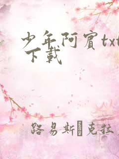 少年阿宾txt 下载