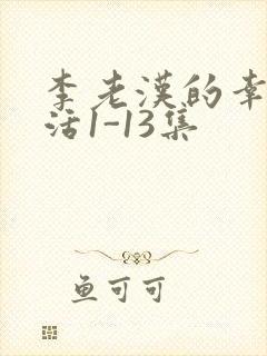 李老汉的幸福生活1-13集