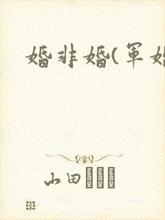 婚非婚(军婚)