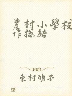 农村小学校长工作总结