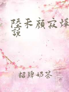陆禾颜寂烨霖小说