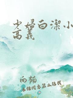少妇白洁小说 高义