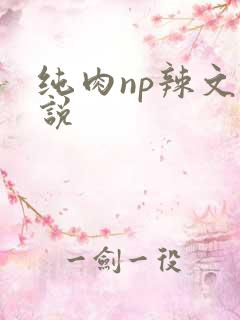 纯肉np辣文小说