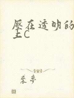 压在透明的玻璃上C